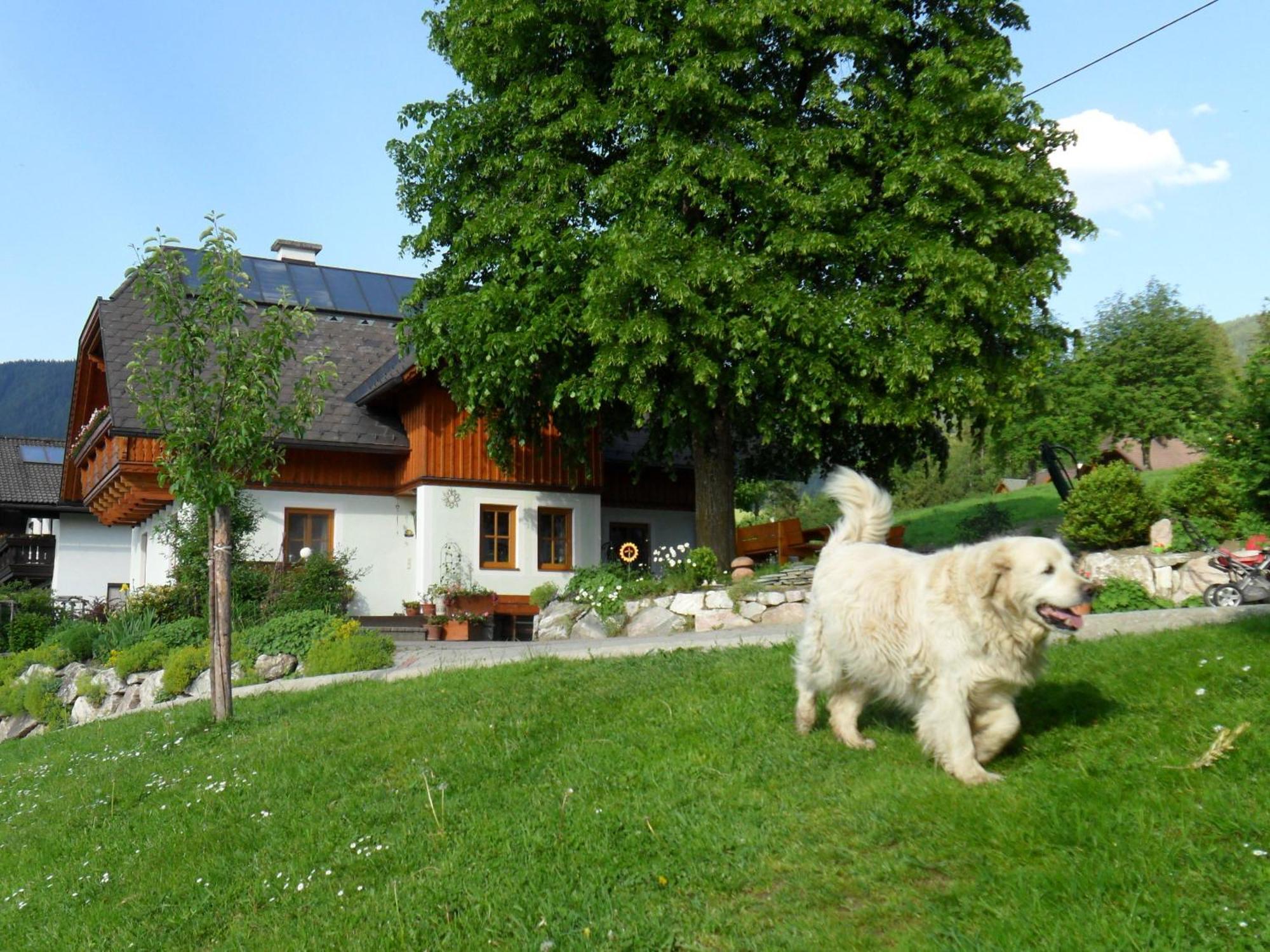 Huettstaedterhof Familie Poetsch Villa Aigen im Ennstal Bagian luar foto